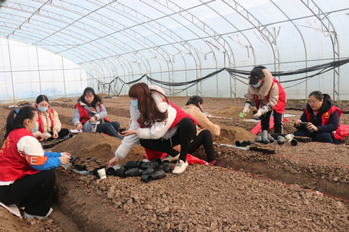 /gb2312/qishiyegonghui/yuntainongchanggonghui/9917.html