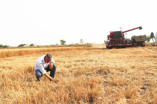 /gb2312/qishiyegonghui/yuntainongchanggonghui/10470.html