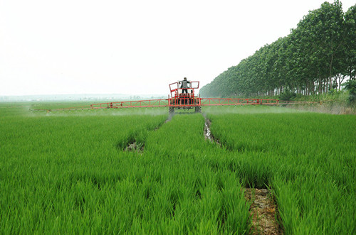 /gb2312/qishiyegonghui/yuntainongchanggonghui/10578.html