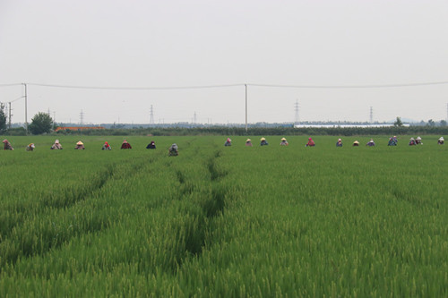 /gb2312/qishiyegonghui/yuntainongchanggonghui/10886.html