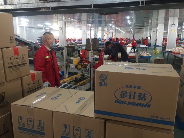 /gb2312/donghaixianzonggonghui/4178.html