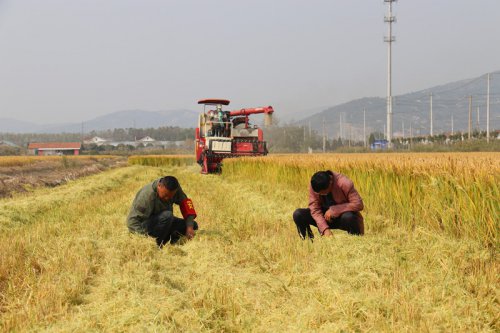 /gb2312/qishiyegonghui/yuntainongchanggonghui/9449.html