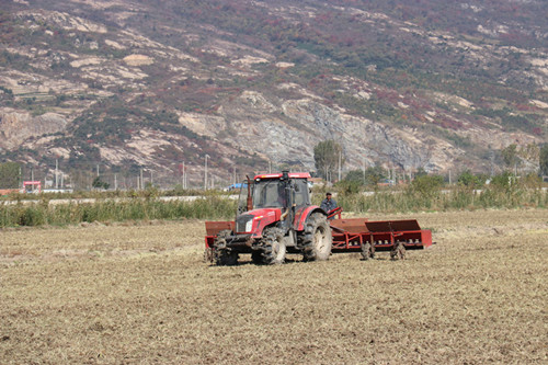 1641947396530821.jpg IMG_3034_副本.jpg