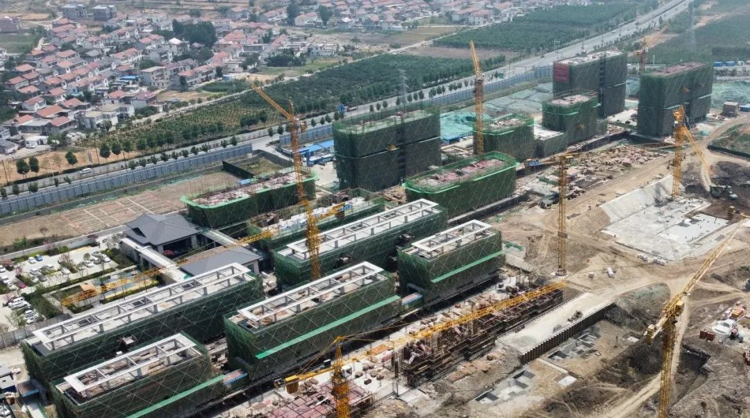 1654766111941857.jpg 10.jpg