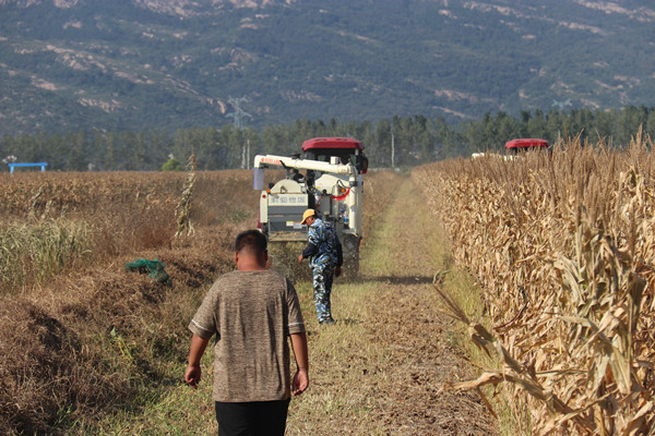 1665276099200980.jpg IMG_3869.JPG