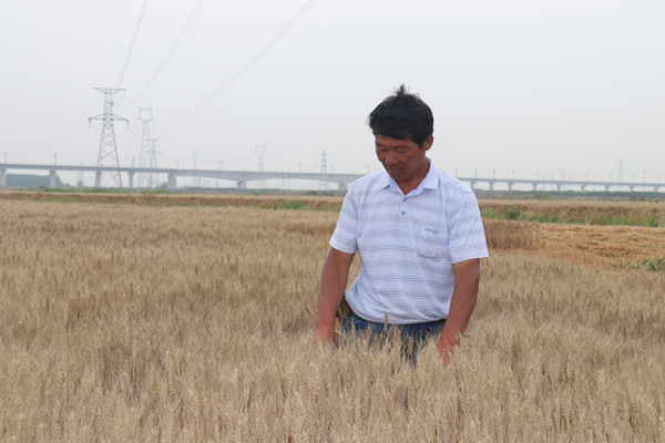 1670391403216134.jpg IMG_9236.JPG