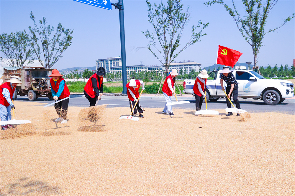 20230609云台：田间“志愿红” 全力以赴战“三夏”.jpg