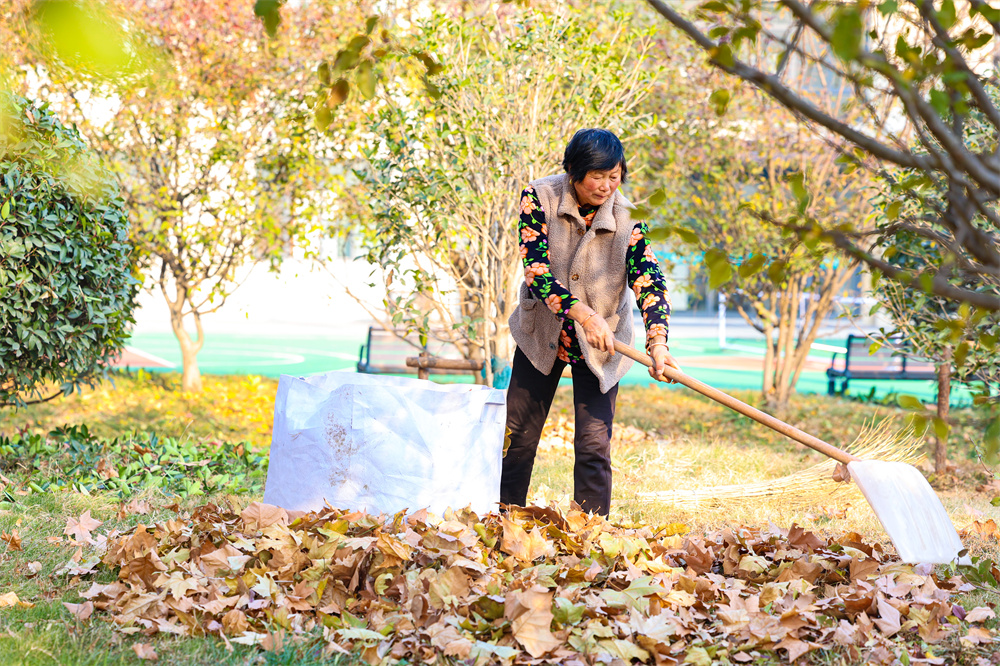 20231205 环卫打扫 (2).jpg