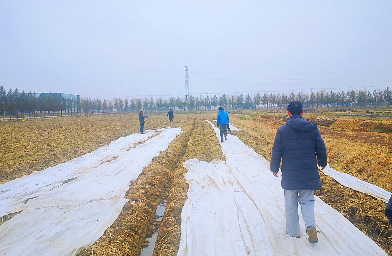 20240122 云台：寒潮之下，以“动”制“冻”(1).jpg