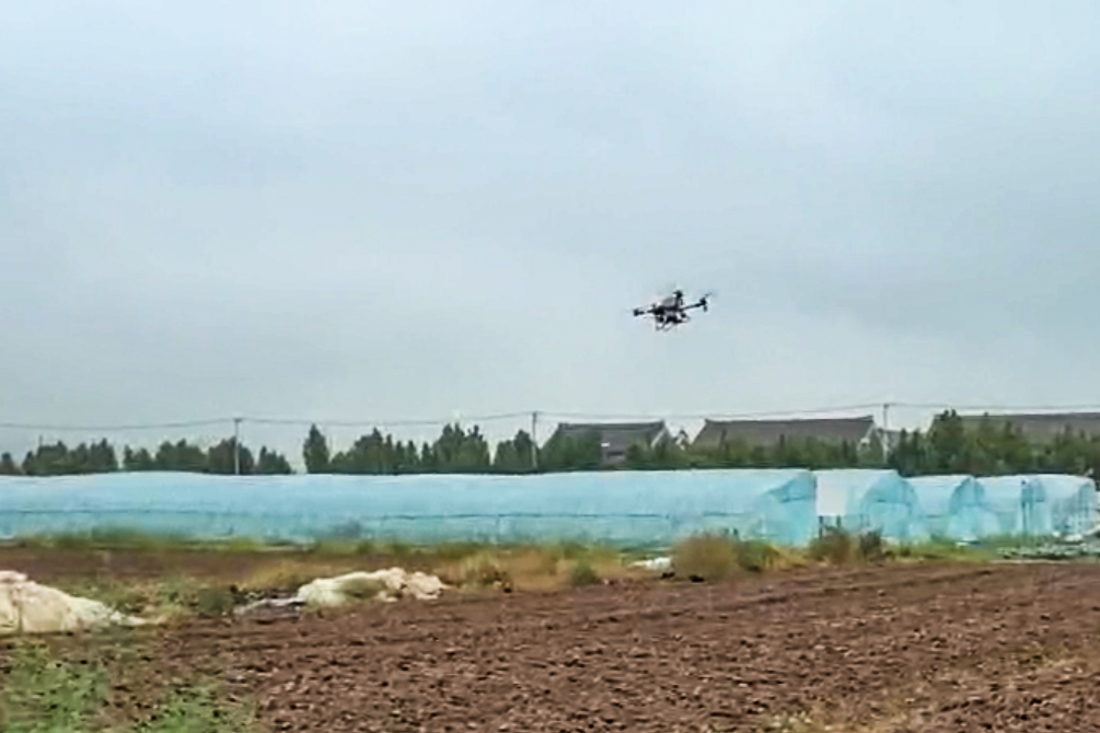 20251013 云台农场无人机“飞播”油菜,尽显科技范儿.png