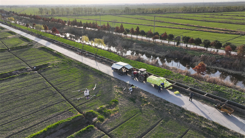 20251209 云台农场： 科技赋能 管出冬麦好“丰”景 (1).JPG