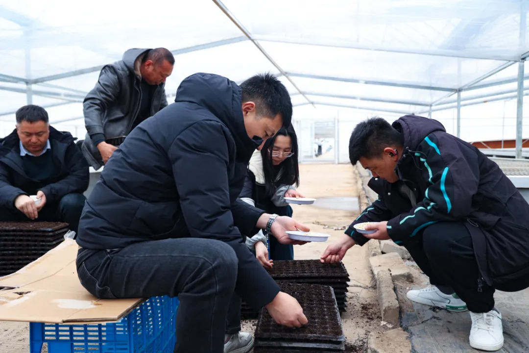 1774227538441220.jpg 20260318 万象“耕”新!云台甜糯玉米育苗正当时.jpg