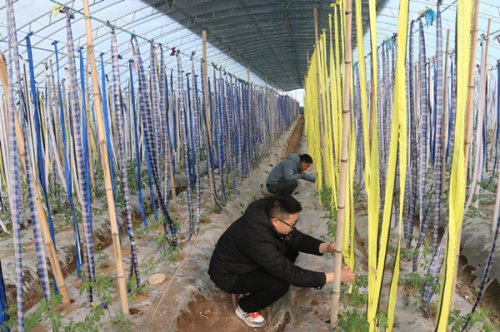 /gb2312/qishiyegonghui/yuntainongchanggonghui/9942.html
