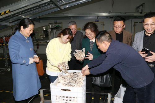 /gb2312/guanyunxianzonggonghui/10148.html