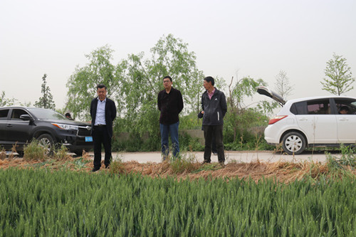 1620431907515520.jpg 1_副本.jpg