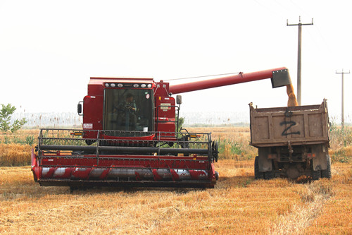 1623889474875223.jpg IMG_0777_副本.jpg