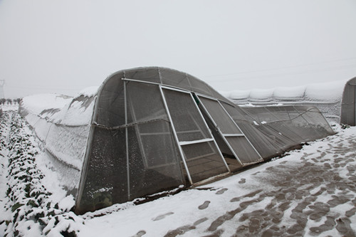 1626140918109558.jpg IMG_0682_副本.jpg