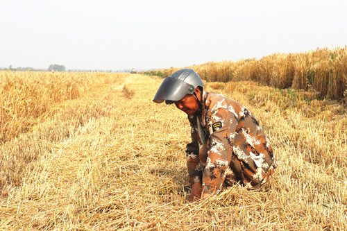 1627350897187016.jpg IMG_0727_副本.jpg