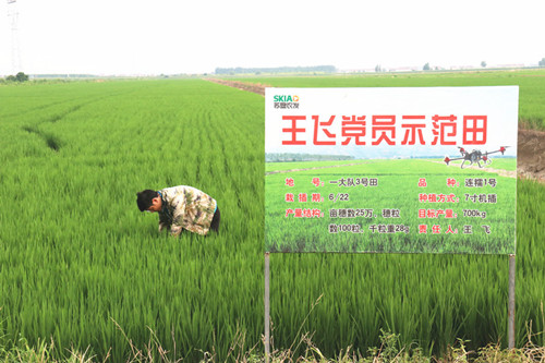 1628469186903280.jpg IMG_9560_副本.jpg