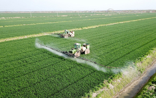 大地丰歌1（云台分公司顾兴林摄 ）_副本.jpg